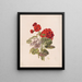 Geranium No.5 - Charles Ryan — framed artwork on a wall