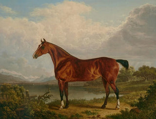 A chestnut hunting horse belonging to Richard Tiltey - Charles Towne — artwork view