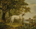 an English pointer in a landscape - Charles Towne — artwork view