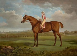 The Chestnut Colt Regulus by Mr. Charles Taylor, ridden by a jockey in Chester - Charles Towne — artwork view