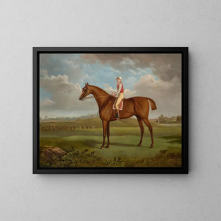 The Chestnut Colt Regulus by Mr. Charles Taylor, ridden by a jockey in Chester - Charles Towne — framed artwork on a wall