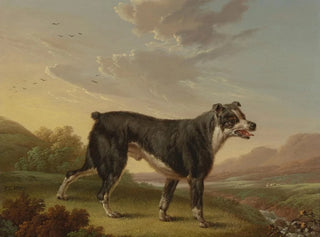 Tyke - Charles Towne — artwork view