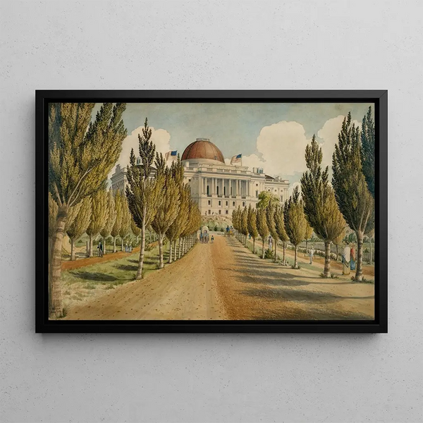 View of the Capitol - Charles W. Burton — framed artwork on a wall