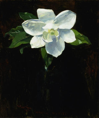 Magnolia Painting - Charles Walter Stetson — artwork view