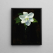 Magnolia Painting - Charles Walter Stetson — framed artwork on a wall