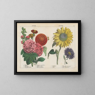Fleurs d'automne - Charlotte Mary Yonge — framed artwork on a wall