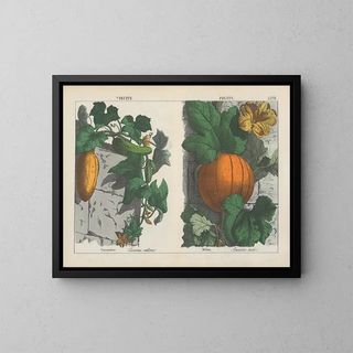 Fruit, cucumber and melon - Charlotte Mary Yonge — framed artwork on a wall