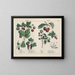 Fruits - Charlotte Mary Yonge — framed artwork on a wall