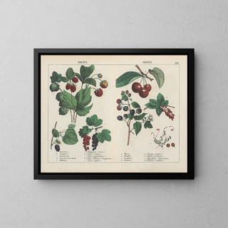 Fruits - Charlotte Mary Yonge — framed artwork on a wall