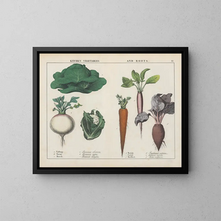Vegetables and root vegetables of cuisine: cabbage, turnip, broccoli - Charlotte Mary Yonge — framed artwork on a wall