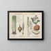 Kitchen Vegetables and Roots: celery, onion, asparagus, potato - Charlotte Mary Yonge — framed artwork on a wall