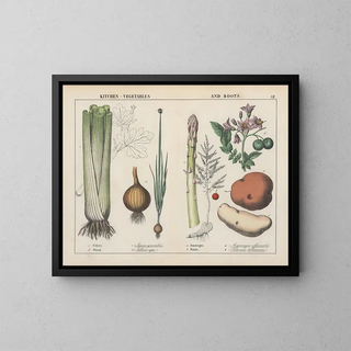 Kitchen Vegetables and Roots: celery, onion, asparagus, potato - Charlotte Mary Yonge — framed artwork on a wall
