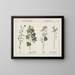 Useful plants in domestic economy: arts, flax, cotton, coriander, bulrush - Charlotte Mary Yonge — framed artwork on a wall