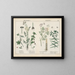 Toxic Plants: Bryony, Water Hemlock, Caper Euphorbia - Charlotte Mary Yonge — framed artwork on a wall