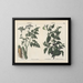 Plants toxiques: ciguë et belladone - Charlotte Mary Yonge — framed artwork on a wall