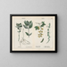 Toxic Plants, Mercury Herb, Yellow Vetch - Charlotte Mary Yonge — framed artwork on a wall