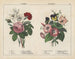Summer Flowers Painting - Charlotte Mary Yonge — artwork view