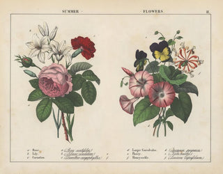 Summer Flowers Painting - Charlotte Mary Yonge — artwork view