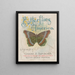 American Butterflies Pl1 - Chase Sanborn — framed artwork on a wall