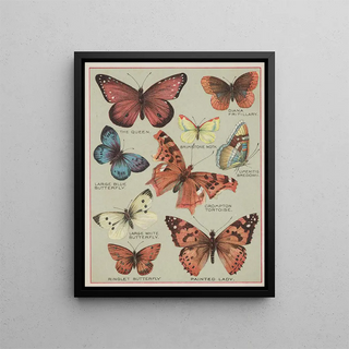 American Butterflies Pl3 - Chase Sanborn — framed artwork on a wall