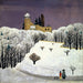 Château de Birseck sous la neige - Fritz Baumann — artwork view