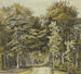 Path through a beech forest with a wooden bridge in front - Martinus van der Jagt — artwork view
