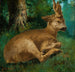 Deer - Gustave Courbet — artwork view