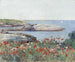 Poppies, Shoals Islands - Childe Hassam — artwork view