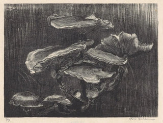 Mushrooms - Chris Lebeau — artwork view