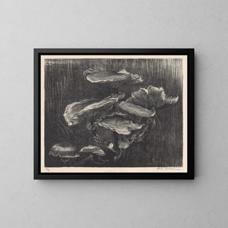 Mushrooms - Chris Lebeau — framed artwork on a wall