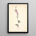 Campanula - Christen Dalsgaard — framed artwork on a wall