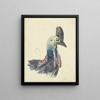 Head of the cassowary - Christiaan van Geelen — framed artwork on a wall