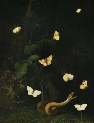 Herbs, butterflies and a serpent - Christiaen Striep — artwork view
