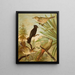 The World of North American Birds pl03 - Christian Anton Goering — framed artwork on a wall
