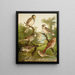 The World of North American Birds pl25 - Christian Anton Goering — framed artwork on a wall