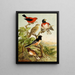 The World of North American Birds pl26 - Christian Anton Goering — framed artwork on a wall