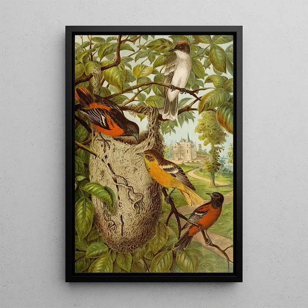 The World of North American Birds pl33 - Christian Anton Goering — framed artwork on a wall