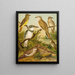 The World of North American Birds pl34 - Christian Anton Goering — framed artwork on a wall