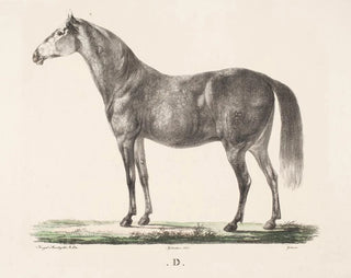 The horse D - Christian David Gebauer — artwork view