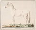The jumping horse - Christian David Gebauer — artwork view