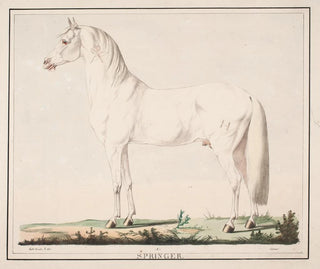The jumping horse - Christian David Gebauer — artwork view