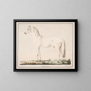 The jumping horse - Christian David Gebauer — framed artwork on a wall