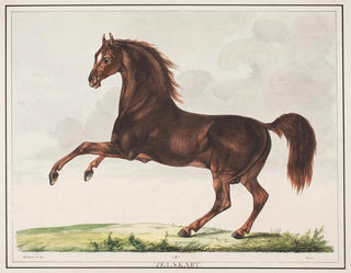 The well-formed horse - Christian David Gebauer — artwork view