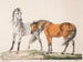 The Horses E G - Christian David Gebauer — artwork view