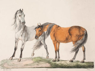 The Horses E G - Christian David Gebauer — artwork view