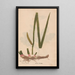 Reproduction of the painting Ectypa vegetabilium Pl034 - Christian Gottlieb Ludwig