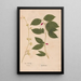 Reproduction of the painting Ectypa vegetabilium Pl038 - Christian Gottlieb Ludwig
