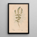 Reproduction of the painting Ectypa vegetabilium Pl040 - Christian Gottlieb Ludwig