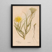 Reproduction of the painting Ectypa vegetabilium Pl049 - Christian Gottlieb Ludwig
