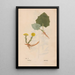 Ectypa vegetabilium Pl050 - Christian Gottlieb Ludwig — framed artwork on a wall